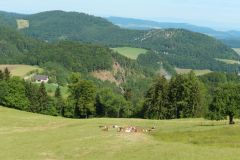 DSCN1928