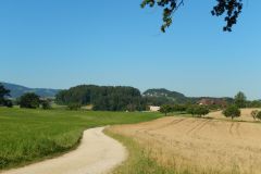 DSCN2252