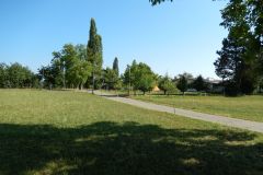 DSCN2424
