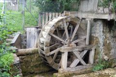 DSCN2804