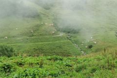 IMG_20210831_111915
