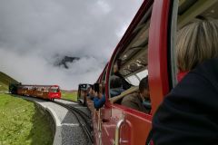IMG_20210831_134237