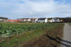 DSC05378