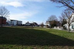 DSC05388