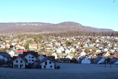 DSC05456