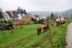 DSC00182