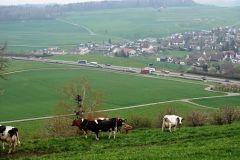 DSC00193