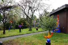 DSC00240