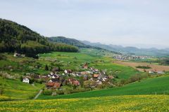 DSC00385
