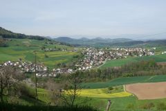 DSC00403