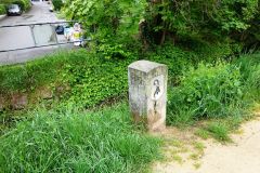 DSC00462