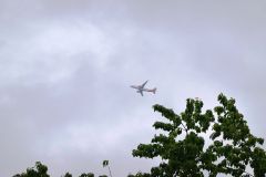 DSC00502