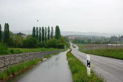 DSC00508