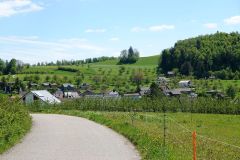 DSC00726