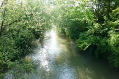 DSC00754