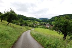 DSC00919