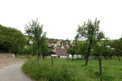 DSC00948