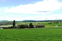 DSC00952
