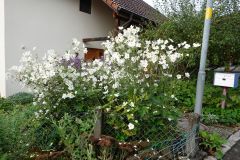 DSC01742