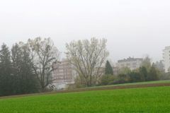 DSC01792