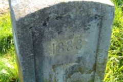 DSCN3955