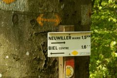 DSCN4008
