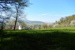 DSCN4011