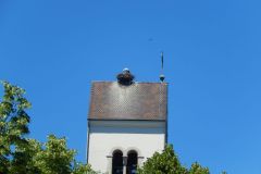 DSCN4534