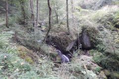 DSCN5718