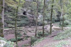 DSCN5732
