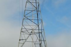 DSCN5770