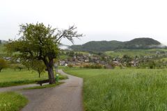 DSCN4061