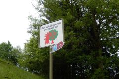 DSCN4385