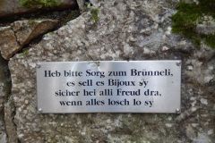 DSCN5179