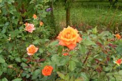 DSCN4956