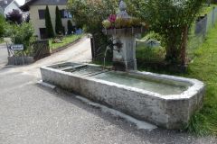 DSCN5071