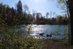 DSCN1448