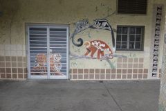 DSC05700