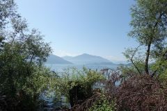 DSC09771