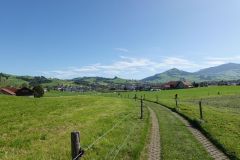 DSC00845