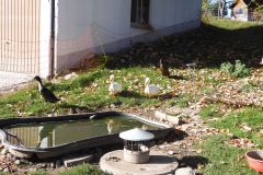 DSCN3680