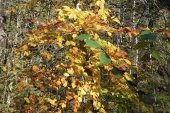 DSCN3827