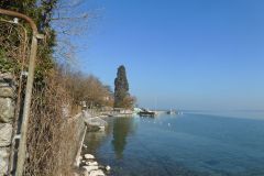 DSCN0582