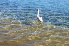 DSCN0629