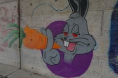 DSC06250