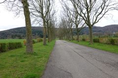 DSC06930
