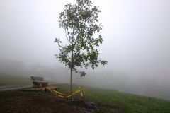 DSC01857