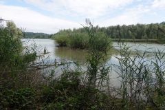 DSC04371