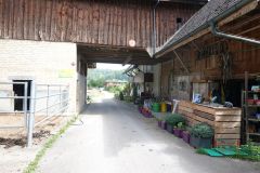 DSC04396