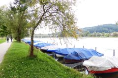 DSCN2937